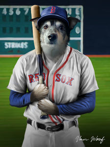 Boston Red Sox Baseball Player