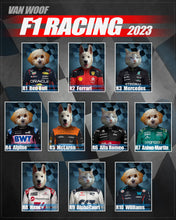 Load image into Gallery viewer, F1 Asdog Martin Team
