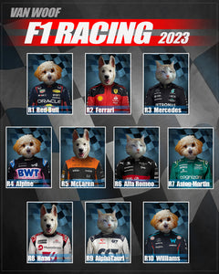 F1 Asdog Martin Team