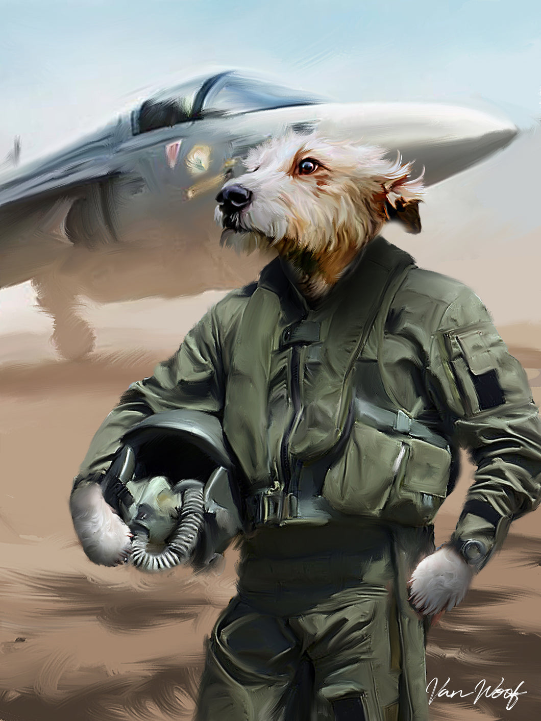 Male Fighter Pilot