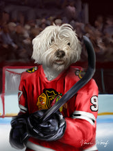 Load image into Gallery viewer, Chicago Blackhawks Hockey Player
