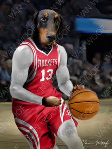 Houston Rockets Basketball Player