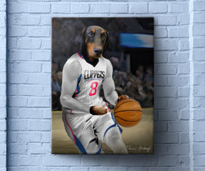 LA Clippers Basketball Player