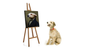 Van Woof Pet Portraits