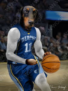 Memphis Grizzlies Basketball Player