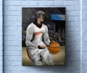 Phoenix Suns Basketball Player