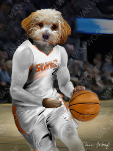 Phoenix Suns Basketball Player