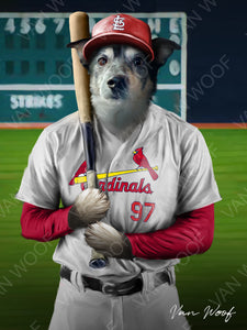 St. Louis Cardinals Baseball Player