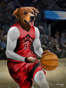 Toronto Raptors Basketball Player