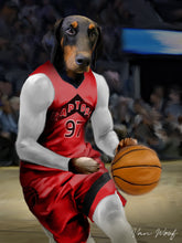 Load image into Gallery viewer, Toronto Raptors Basketball Player
