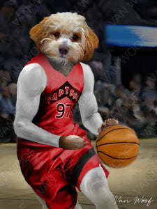 Toronto Raptors Basketball Player