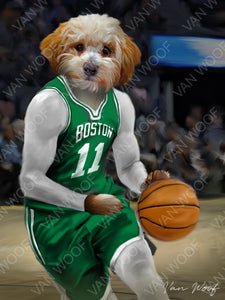 Boston Celtics Basketball Player
