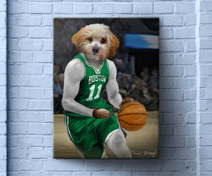 Boston Celtics Basketball Player