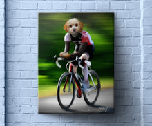 Load image into Gallery viewer, Cyclist
