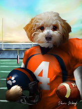Load image into Gallery viewer, Denver Football Player
