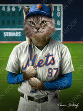 Load image into Gallery viewer, New York Mets Baseball Player
